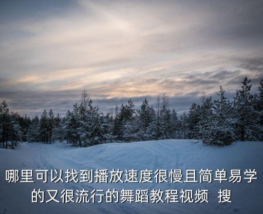哪里可以找到播放速度很慢且简单易学的又很流行的舞蹈教程视频  搜
