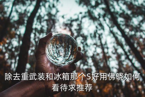 除去重武装和冰箱那个S好用佛晓如何看待求推荐