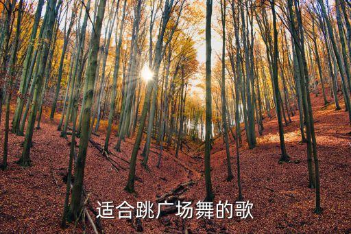 广场舞舞曲大全100首，广场舞有哪些歌曲