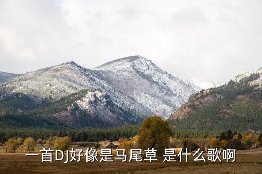 马尾什么的dj歌曲，一首DJ好像是马尾草 是什么歌啊