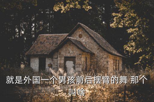 就是外国一个男孩前后摆臂的舞 那个叫啥