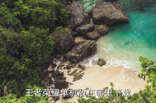 王者荣耀全皮肤单机版，王者荣耀有单机版吗