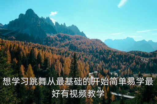 基础舞蹈动作刚入门教学视频，有没有一些适合舞蹈初学者的舞蹈教学视频