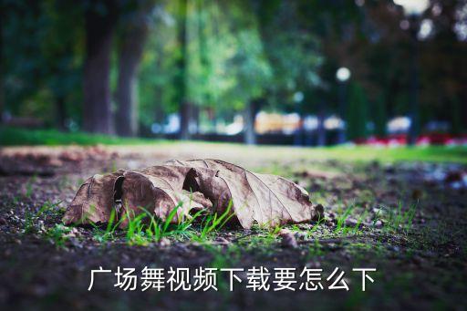 广场舞视频下载要怎么下