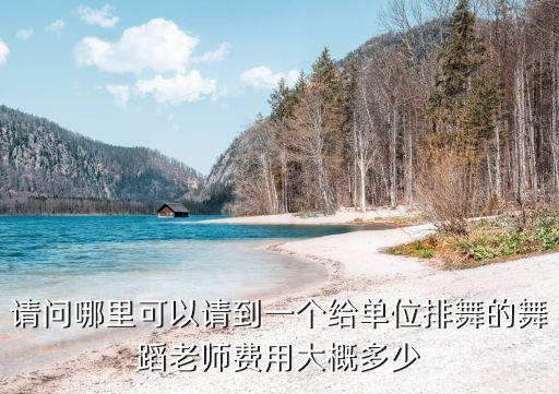 请问哪里可以请到一个给单位排舞的舞蹈老师费用大概多少