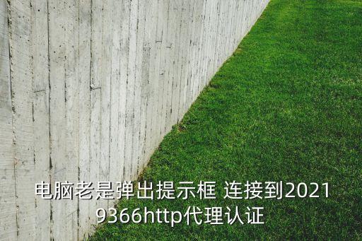 电脑老是弹出提示框 连接到20219366http代理认证