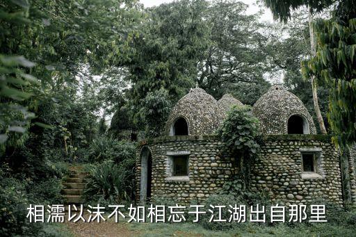 相濡以沫不如相忘于江湖出自那里