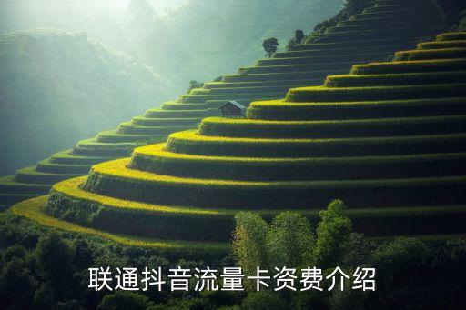 联通抖音流量卡资费介绍
