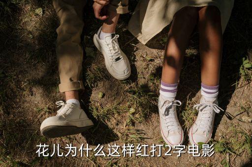 花儿为什么这样红打2字电影