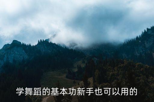 学舞蹈的基本功新手也可以用的