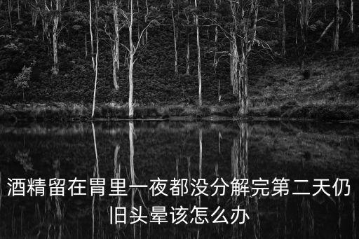 酒精留在胃里一夜都没分解完第二天仍旧头晕该怎么办