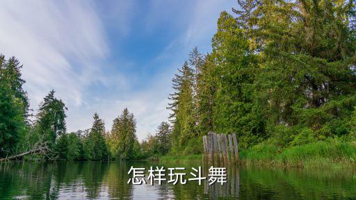 怎样玩斗舞