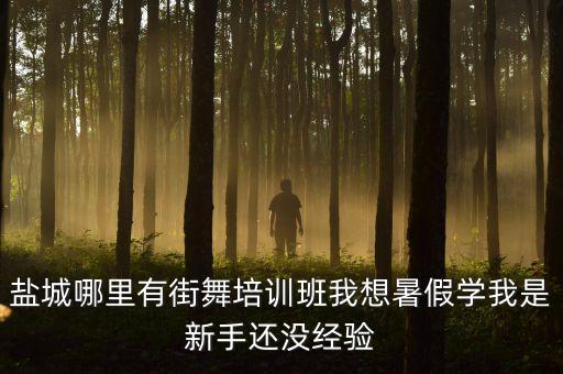 盐城舞蹈班排前十名有几家，盐城哪里有街舞培训班我想暑假学我是新手还没经验