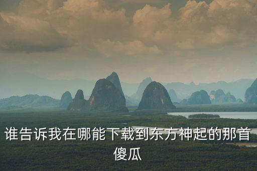怎么下载关于傻瓜的视频歌曲，谁告诉我在哪能下载到东方神起的那首傻瓜
