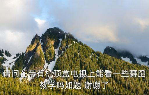 请问在带有机顶盒电视上能看一些舞蹈教学吗如题 谢谢了