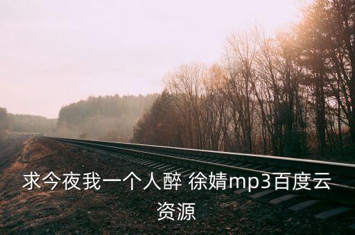 求今夜我一个人醉 徐婧mp3百度云资源