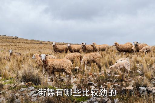 街舞有哪些比较劲的