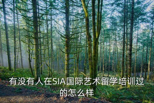 有没有人在SIA国际艺术留学培训过的怎么样