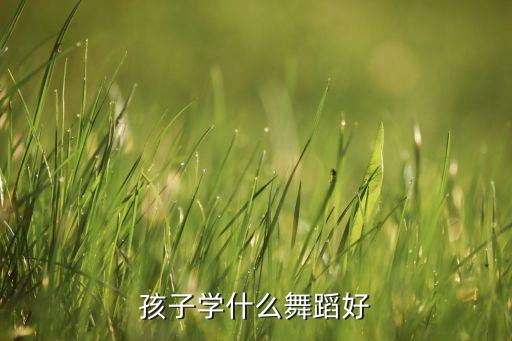 小童学什么舞蹈比较好，想让孩子学习舞蹈 哪种舞蹈最锻炼孩子呀