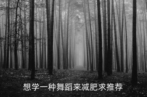 想学一种舞蹈来减肥求推荐
