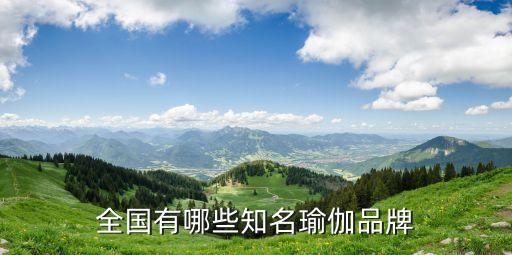 全国有哪些知名瑜伽品牌