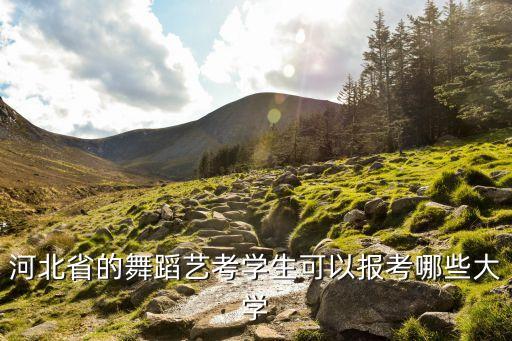 河北省的舞蹈艺考学生可以报考哪些大学