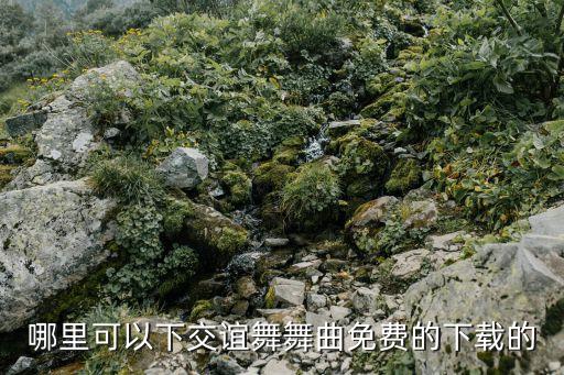 交谊舞舞曲如何免费下载，谁知道免费的交谊舞曲到哪里下载啊