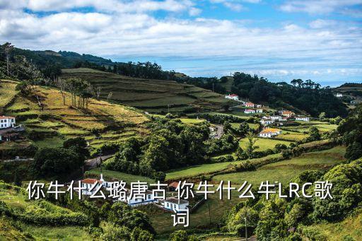 唐古的歌你牛什么牛舞，你牛什么牛是什么歌曲呀