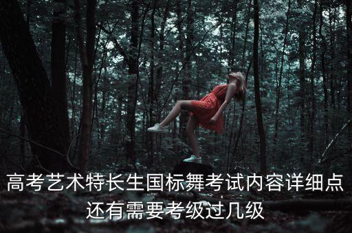 高考艺术特长生国标舞考试内容详细点还有需要考级过几级