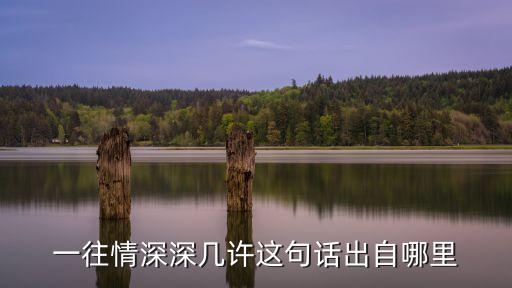 问情深有几许广场舞，庭院深深深几许希望有那位想出来告诉我谢谢