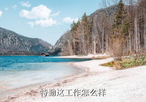 湖北省民族歌舞团怎么样，特勤这工作怎么样