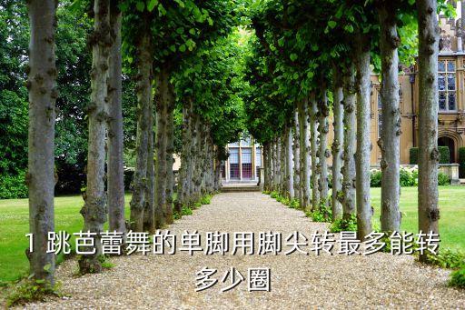 1 跳芭蕾舞的单脚用脚尖转最多能转多少圈