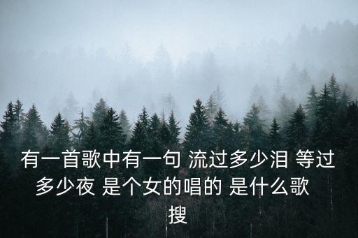 有一首歌中有一句 流过多少泪 等过多少夜 是个女的唱的 是什么歌  搜