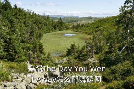 舞蹈The Day You Went Away怎么配舞蹈阿
