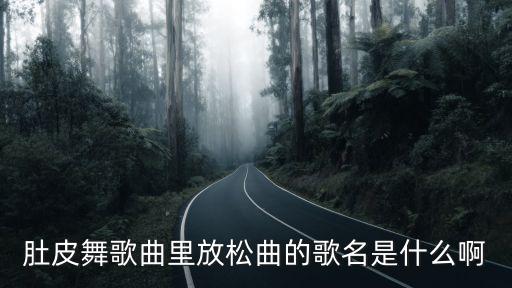 肚皮舞歌曲里放松曲的歌名是什么啊