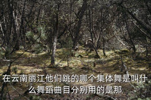 在云南丽江他们跳的哪个集体舞是叫什么舞蹈曲目分别用的是那