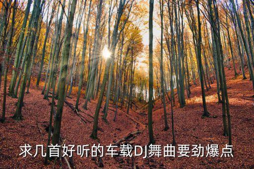 求几首好听的车载DJ舞曲要劲爆点