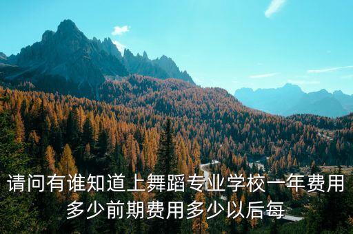 请问有谁知道上舞蹈专业学校一年费用多少前期费用多少以后每