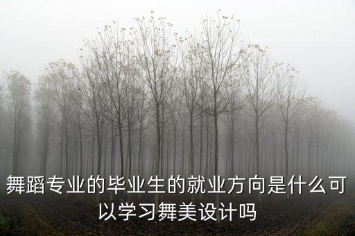 舞蹈专业的毕业生的就业方向是什么可以学习舞美设计吗