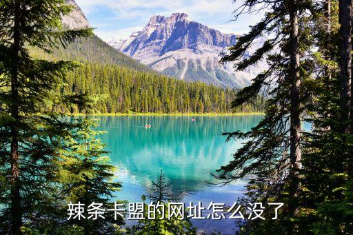 辣条卡盟的网址怎么没了