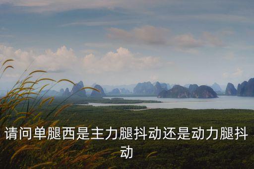 请问单腿西是主力腿抖动还是动力腿抖动