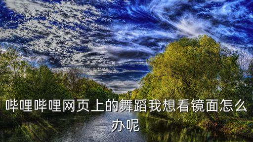 舞蹈视频镜像怎么看，什么软件可以镜面翻转b站的舞蹈视屏