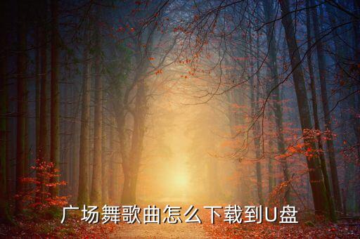 广场舞歌曲怎么下载到U盘