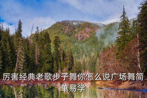 动动步子广场舞 你怎么说，厉害经典老歌步子舞你怎么说广场舞简单易学