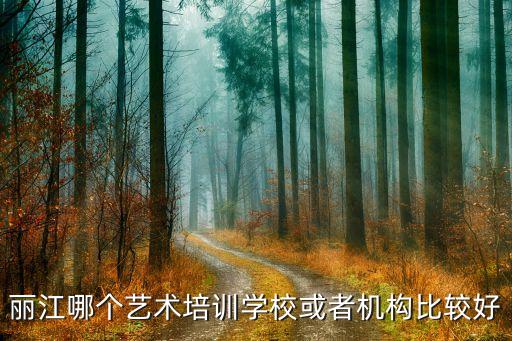 丽江哪个艺术培训学校或者机构比较好