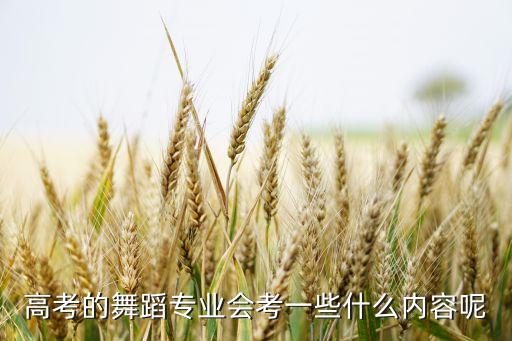 高考的舞蹈专业会考一些什么内容呢