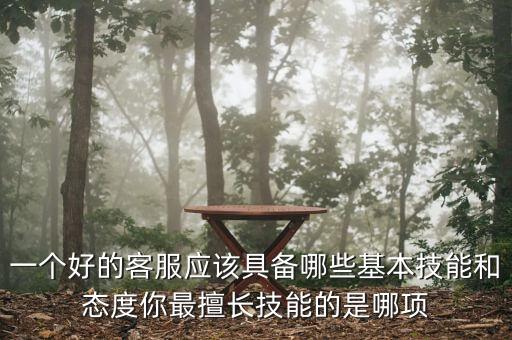 一个好的客服应该具备哪些基本技能和态度你最擅长技能的是哪项