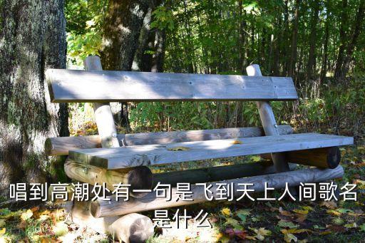 唱到高潮处有一句是飞到天上人间歌名是什么