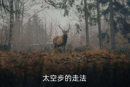 小城遥舞蹈动作分解，eenie meenie 舞蹈教学完整
