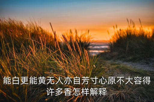 醉美大武山歌词是什么意思，安与骑兵的哦 想 歌词